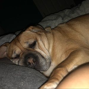 Meet your Posher, Jayna